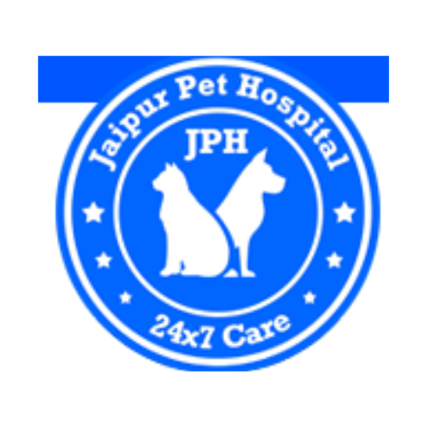 Untitled design (45)