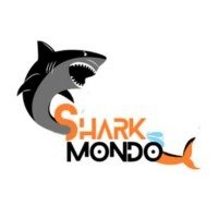 Shark Mondo digital marketing agency logo in Rajouri Garden